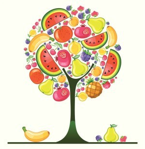 Illustration of a fruit tree with many different kinds of fruit.