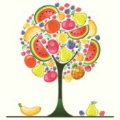 Illustration of a fruit tree with many different kinds of fruit.