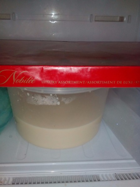 milk mixture in freezer