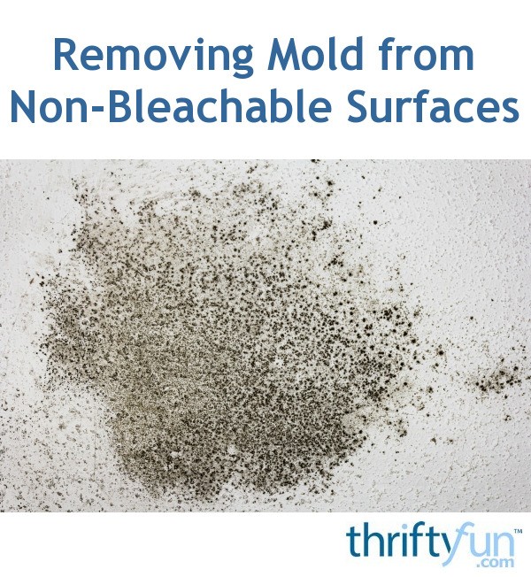 Removing Mold from NonBleachable Surfaces ThriftyFun