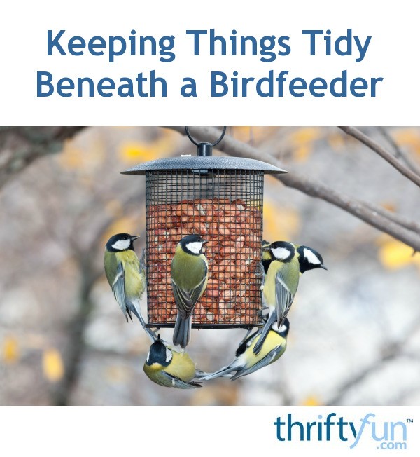 Keeping Things Tidy Beneath A Birdfeeder Thriftyfun