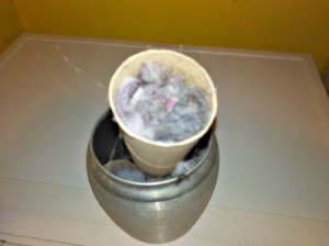 Recycling Dryer Lint - TP tube filled with dryer lint