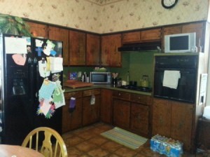 Kitchen Cabinet and Wall Paint Color Advice - cabinets