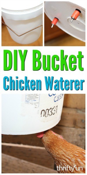 DIY Bucket Chicken Waterer | ThriftyFun