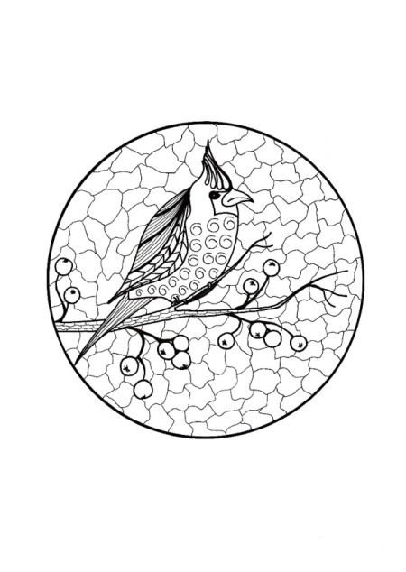 A coloring page showing a cardinal on a tree branch.