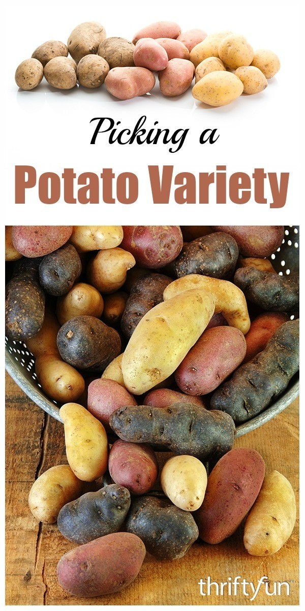 Growing Potatoes | ThriftyFun