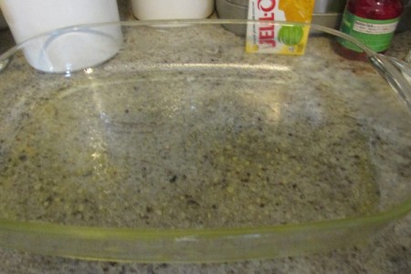 spray oil in glass pan