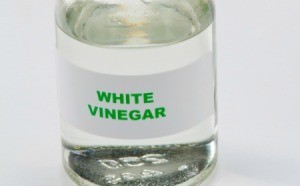 white vinegar