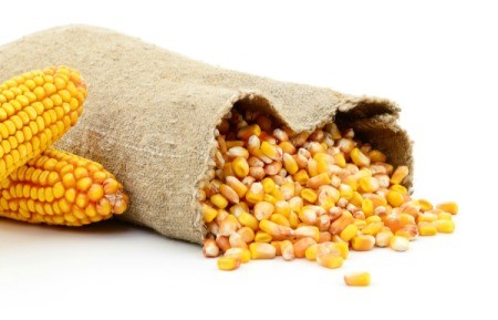 A bag of corn kernels.