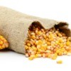 A bag of corn kernels.
