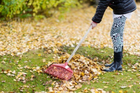 A 14 year old raking leaves.