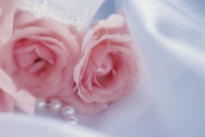 Pink silk roses.