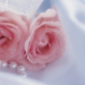 Pink silk roses.