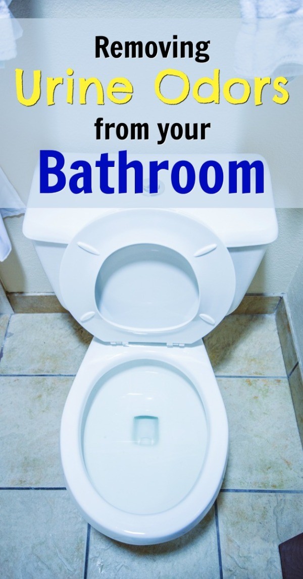 Removing Urine Odors from a Bathroom ThriftyFun