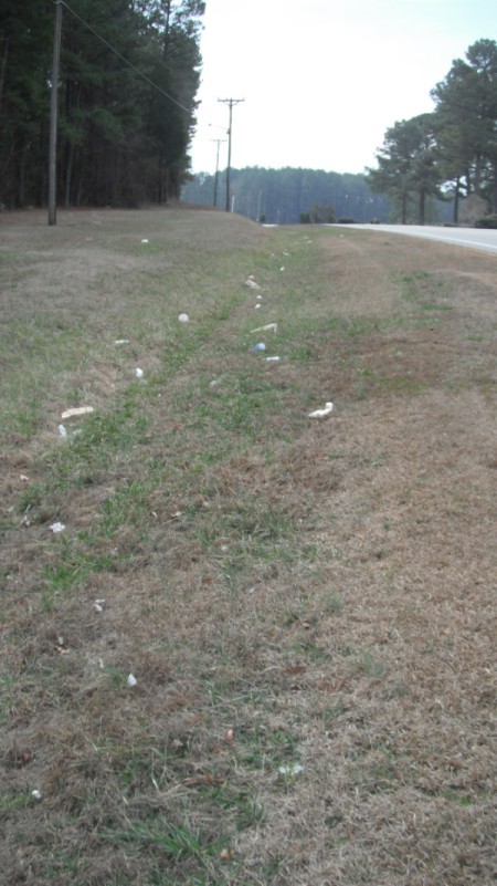 Picking Up Roadside Litter - litter on the side of the road