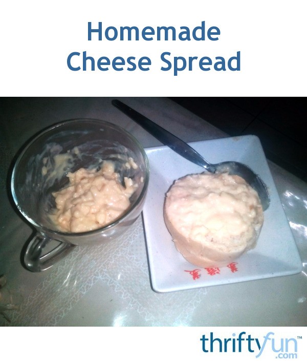 Homemade Cheese Spread Thriftyfun