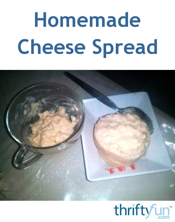 Homemade Cheese Spread ThriftyFun