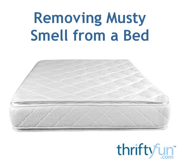 Removing Musty Smell From A Bed Thriftyfun