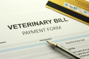 A bill from the veterinarian.