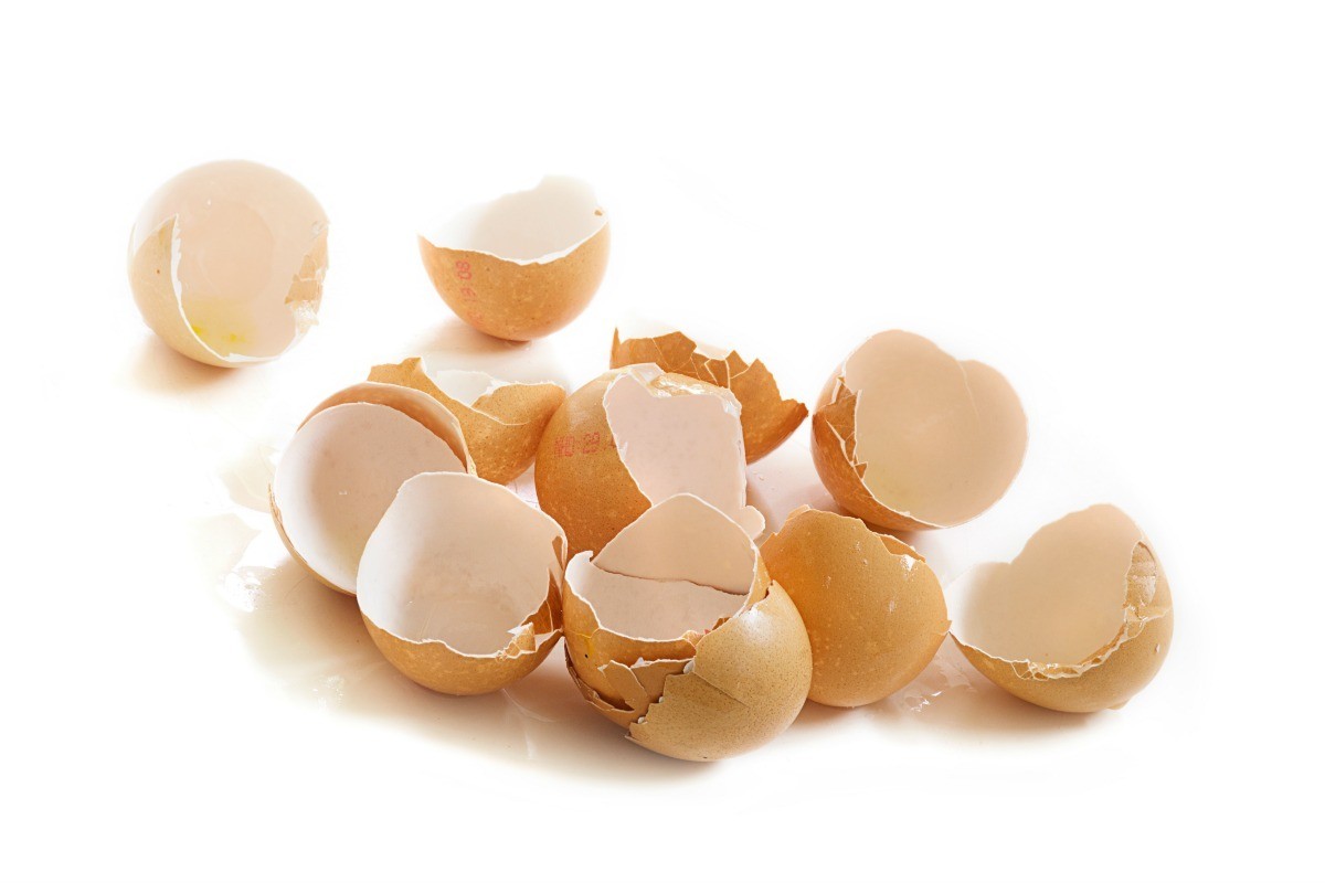 Uses for Egg Shells | ThriftyFun