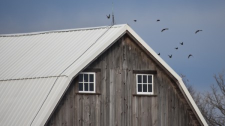 A old wood barn with a white roof and a blue sky beyond.