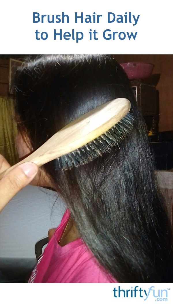 Brush Hair Daily to Help it Grow ThriftyFun