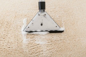 A carpet cleaner picking up soapy water from the carpet.