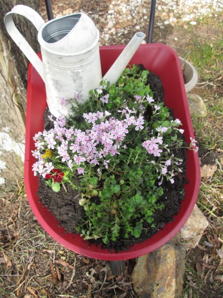 Toy Wheelbarrow as Flower Planter - barrow with watering can and plants