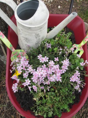 Toy Wheelbarrow as Flower Planter - planted with a watering can, gardening fork, and trowel in barrow