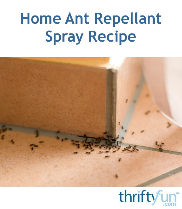 Home Ant Repellant Spray Recipe | ThriftyFun