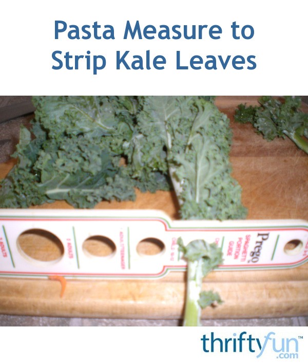 Pasta Measure to Strip Kale Leaves ThriftyFun