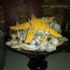 Simple Beach Centerpiece - wide shallow dish with shell collection
