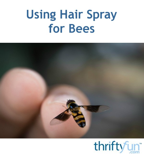 Using Hair Spray for Bees ThriftyFun