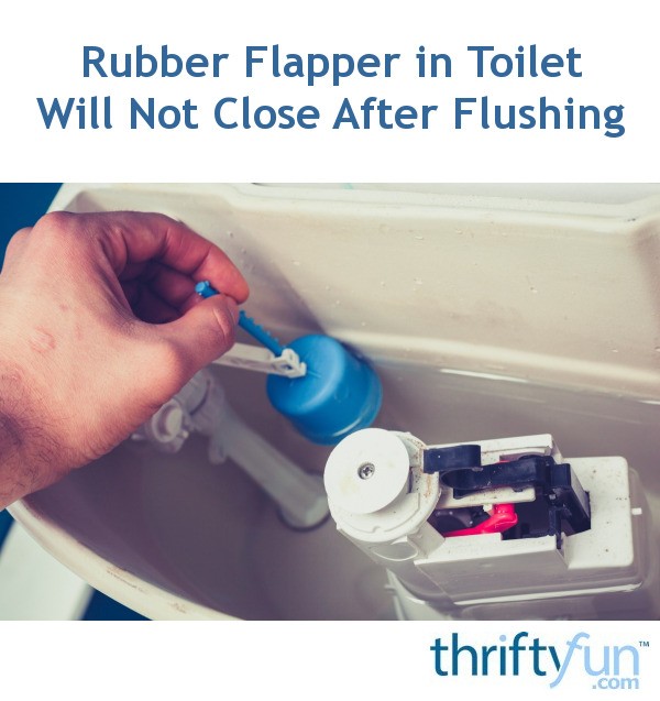 Rubber Flapper in Toilet Will Not Close After Flushing? | ThriftyFun