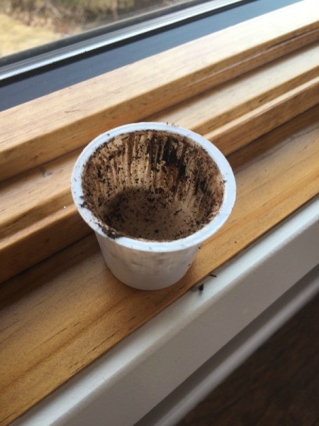 Use a K Cup for Seed Starter