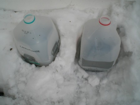 Starting Seeds in the Snow - planted milk jugs in the snow