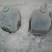 Starting Seeds in the Snow - planted milk jugs in the snow