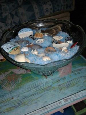 Cat Litter as Decorative Sand - glass bowl with blue litter and shells