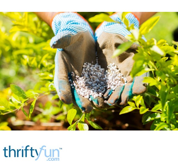 Fertilizing Made Easy ThriftyFun