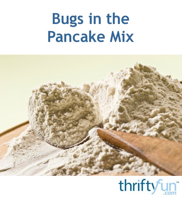Pancake Insect Bugs in the Pancake Mix? | ThriftyFun