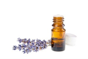 Lavender Essential Oil