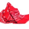 A red bandanna on a white background.