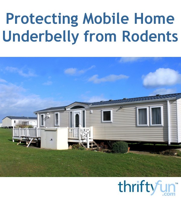 Protecting Mobile Home Underbelly from Rodents? ThriftyFun