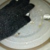 Use Winter Glove for Cleaning Inside of Microwave - gloved hand in microwave