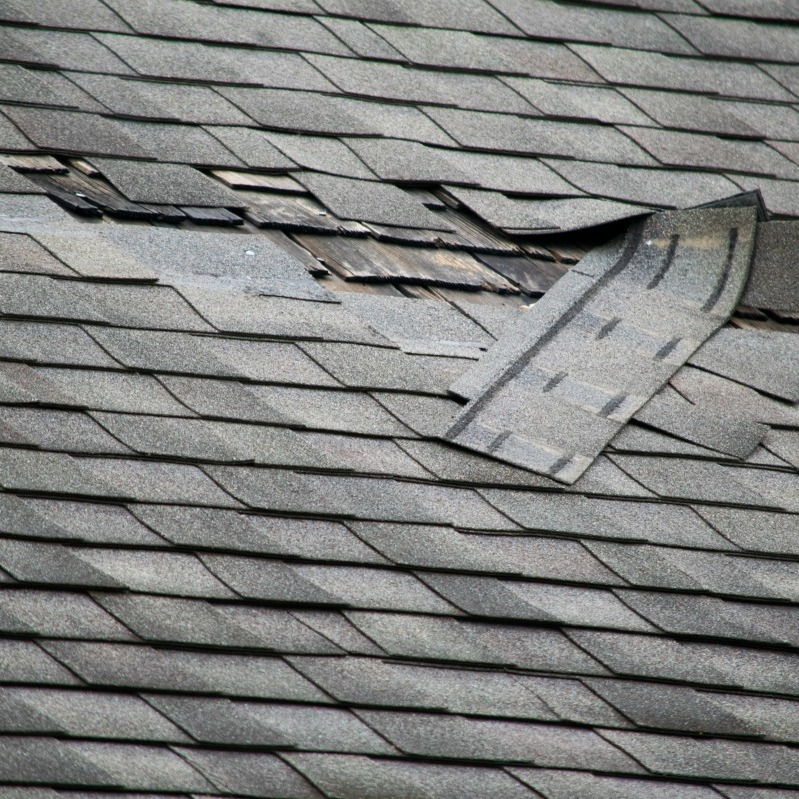 Roof Repair for Low Homeowners? ThriftyFun