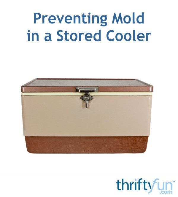 Preventing Mold in Stored Cooler ThriftyFun