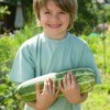 Boy holding a large marrow squash.