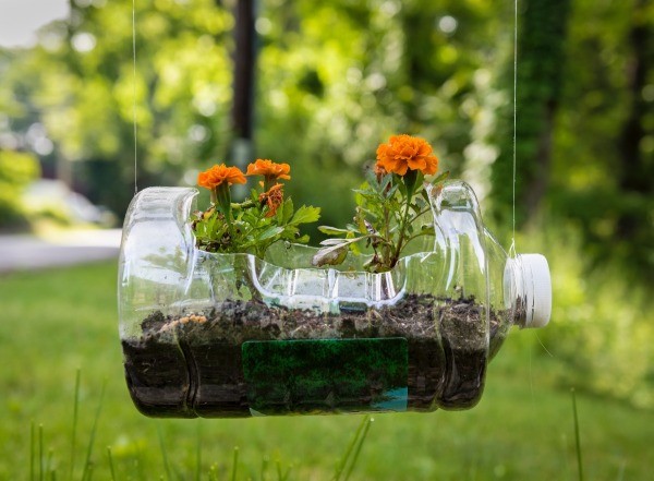 Plastic Bottle Planter