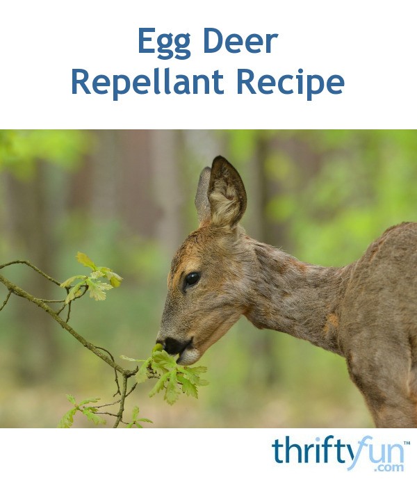 Egg Deer Repellant Recipe ThriftyFun