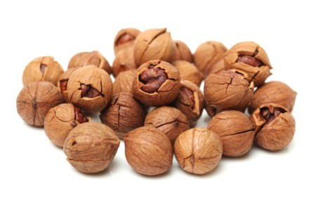 Hickory Nuts